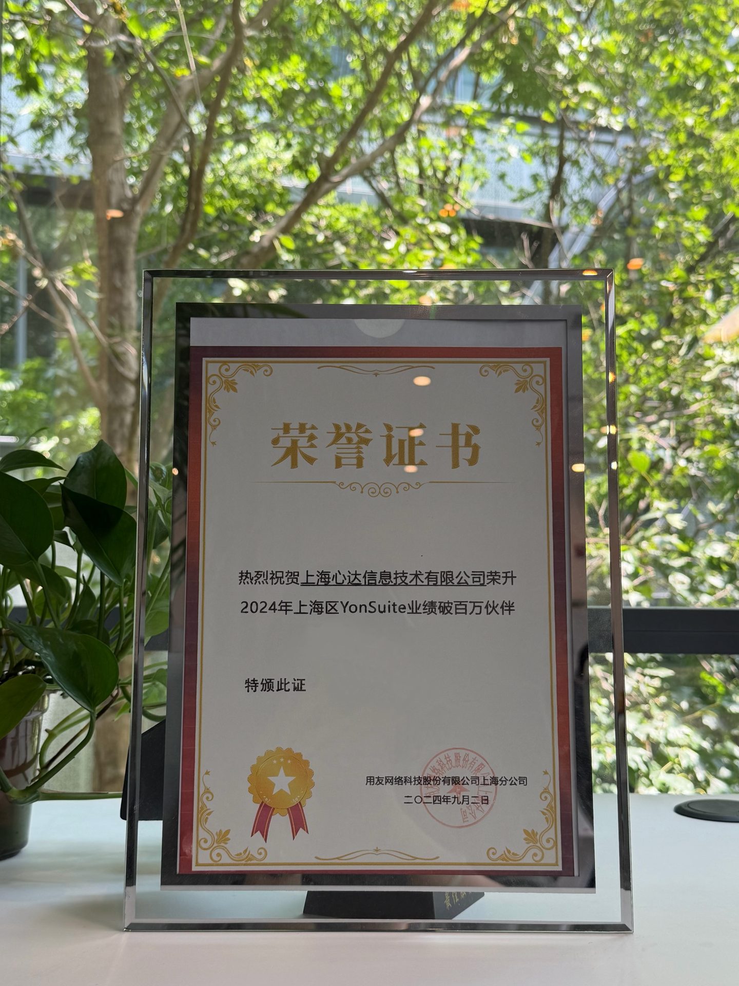 2024年度YonSuite业绩破百万