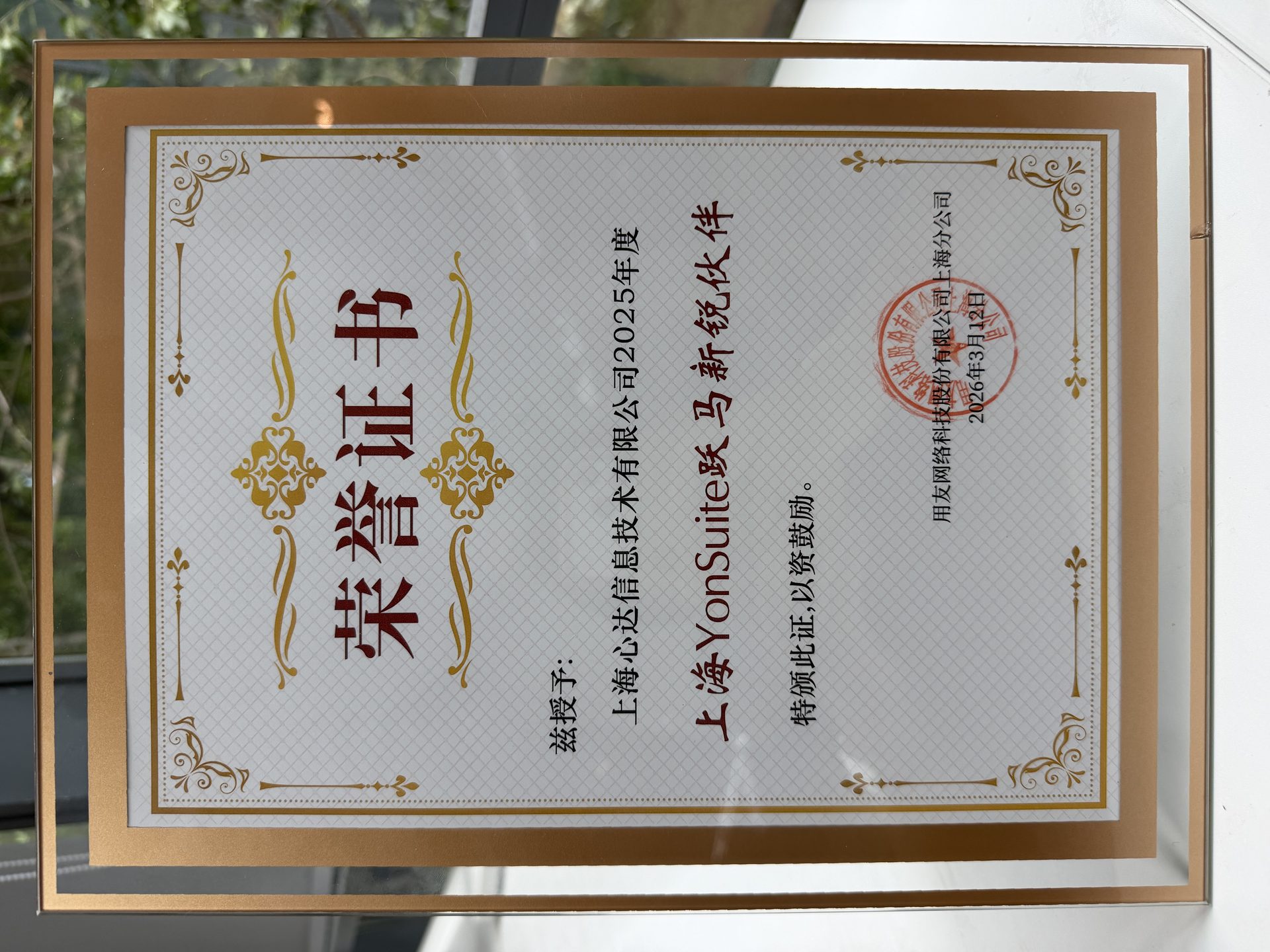 跃马新锐伙伴